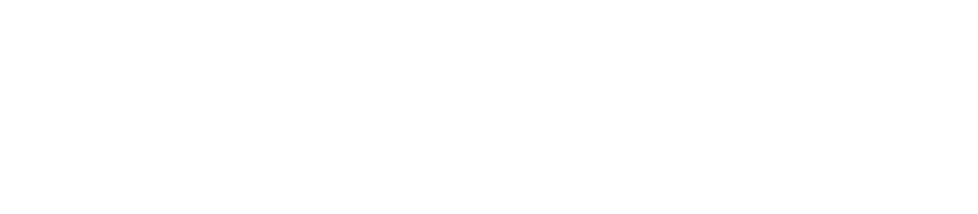 logo from brand EV